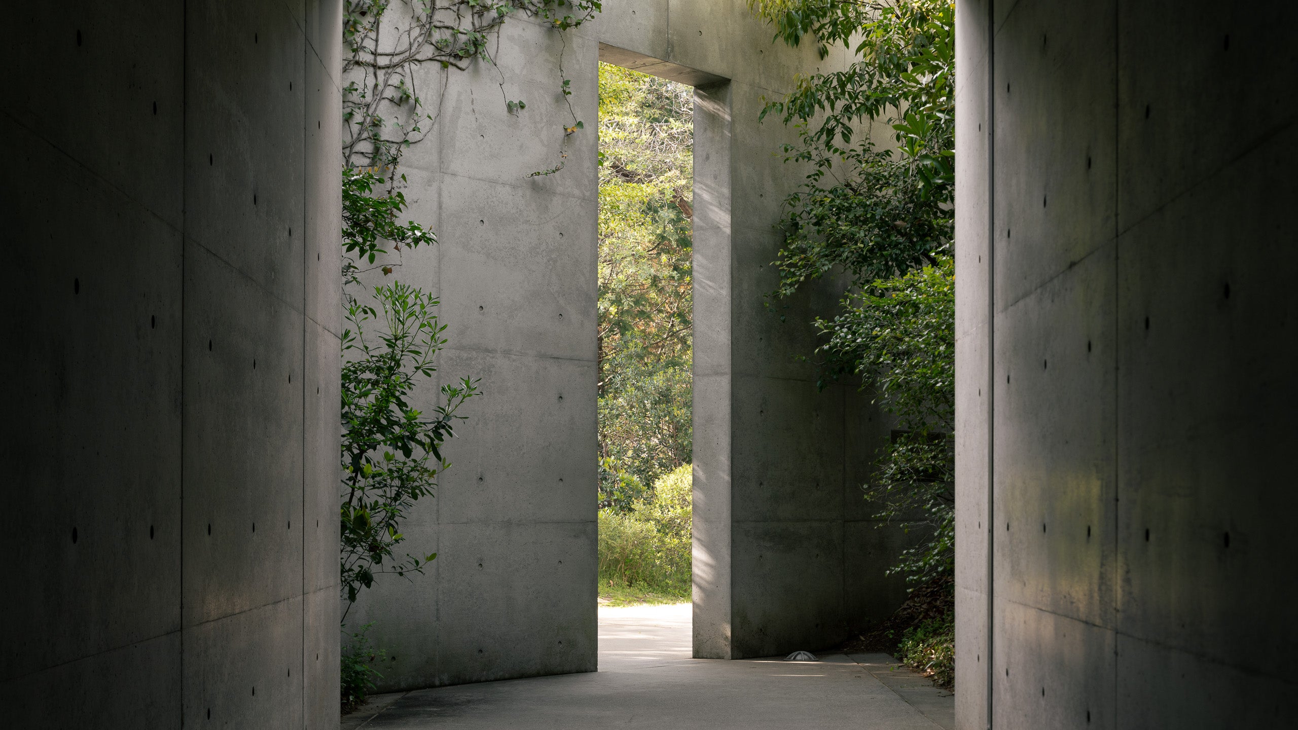 Chichu Art Museum Naoshima Tadao Ando beton lumiere naturelle